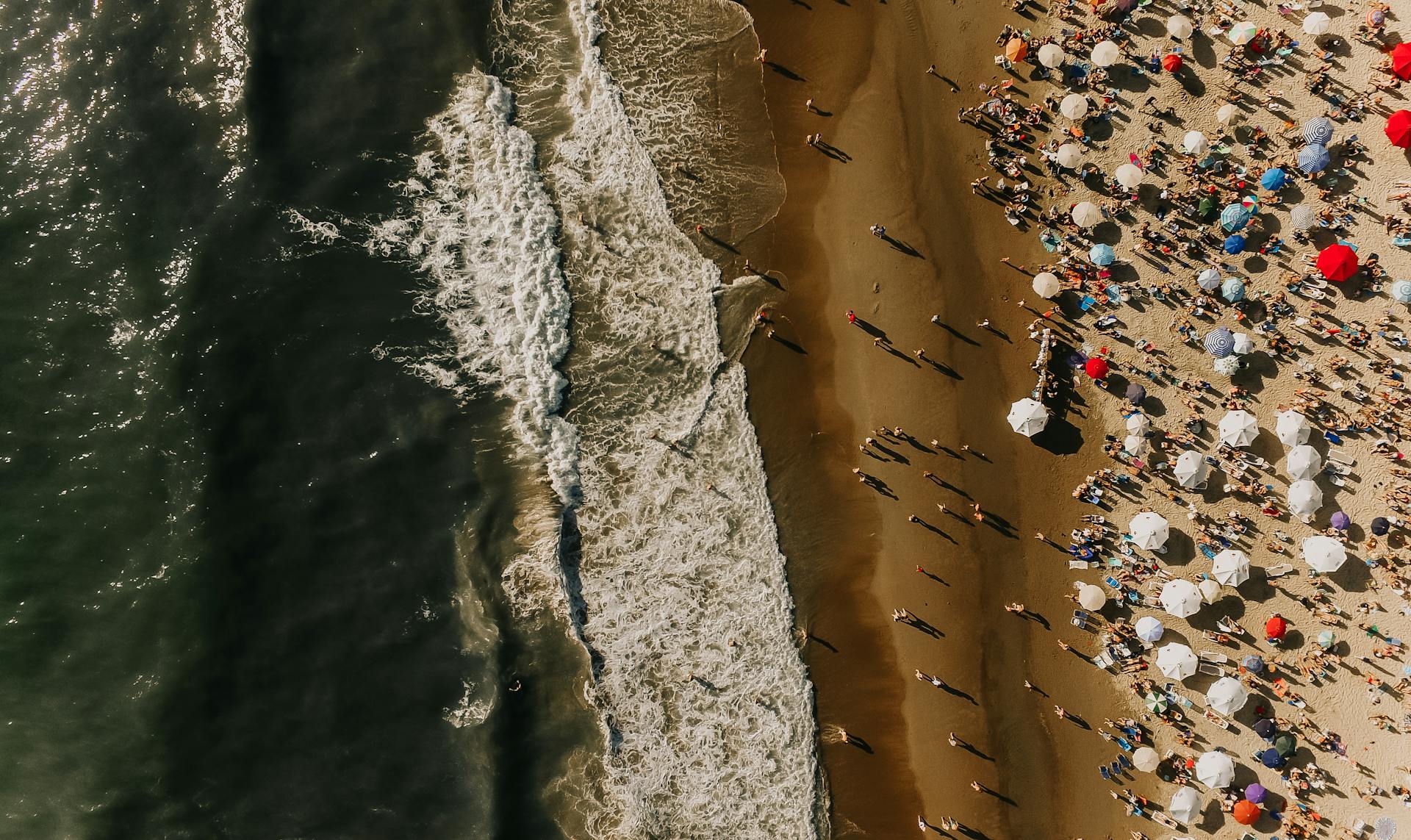 Bibiana Abraham Real Estate